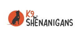 K9 Shenanigans training partner