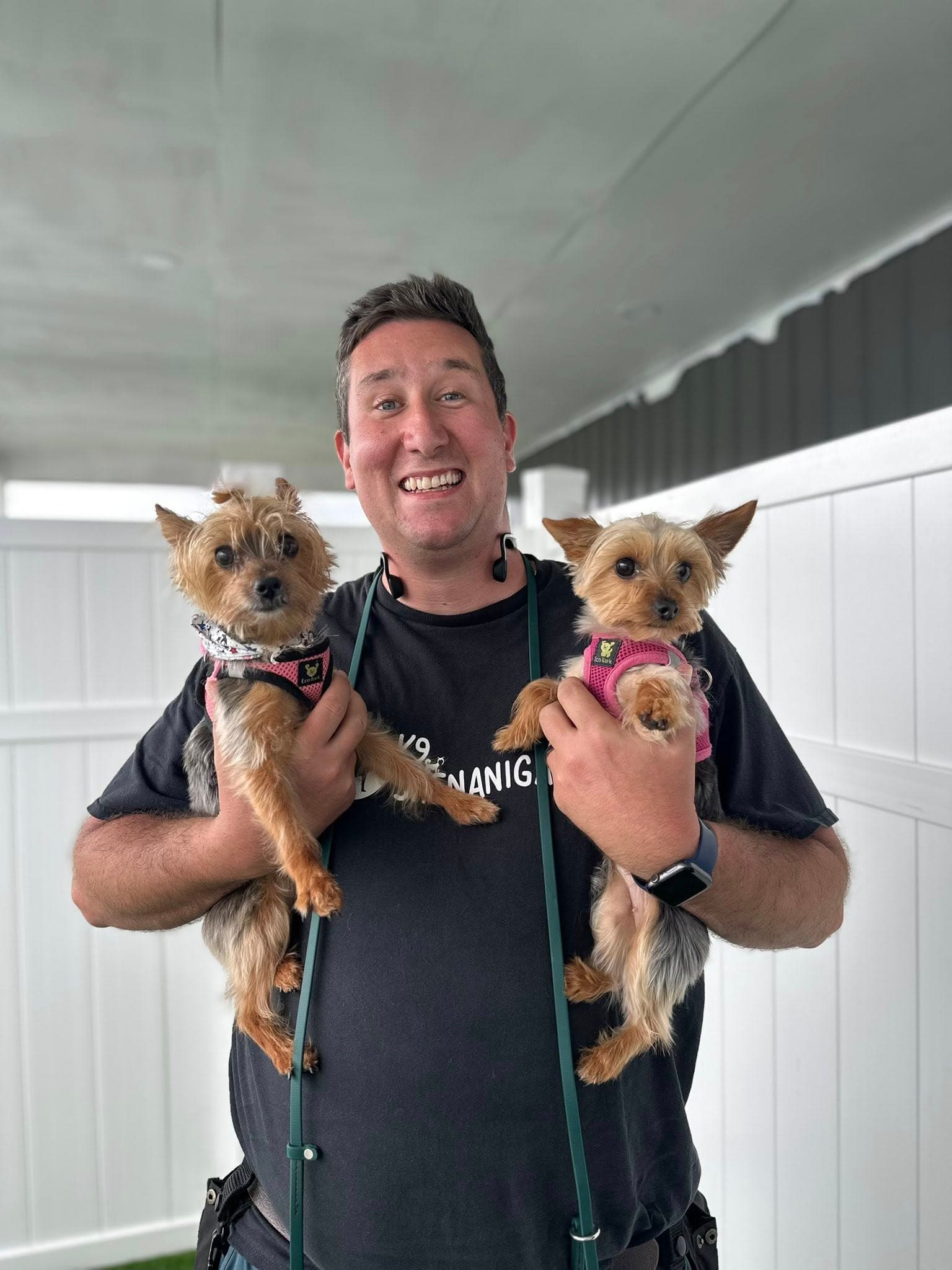 Shaun Dull, Professional Trainer · K9 Shenanigans at Doggie Den Inn